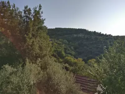 Despina Studios Raxes Ikaria # 1 - Raches