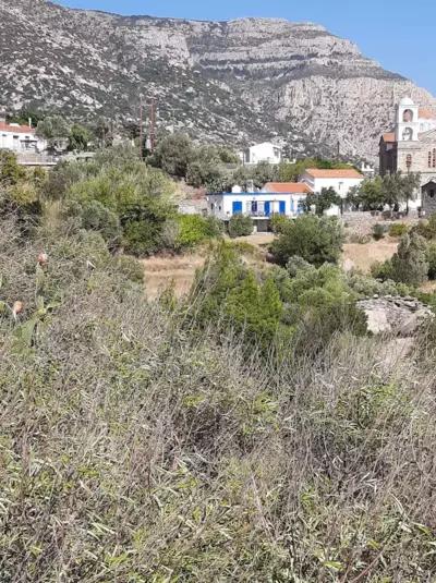 Loft Studio Raxes Kastanies Ikaria # 6 - Raches