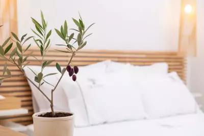 Olivea Premium Holiday Homes - Stavros