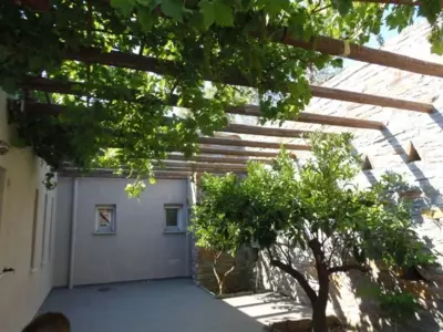 Cottage amidst vines and Oak Trees - Ioulida