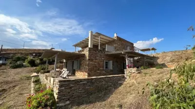 The Traditional Stone Villa - Koundouros