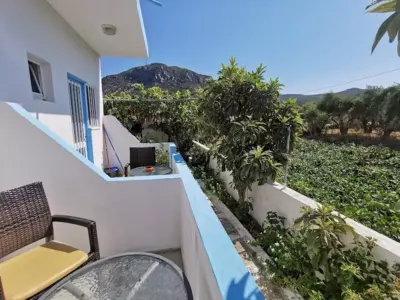 Dionysia Studios - Kefalos Cefalo