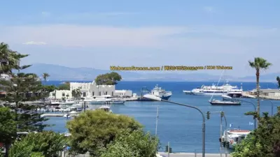 Albatross Studios - Kefalos Cefalo