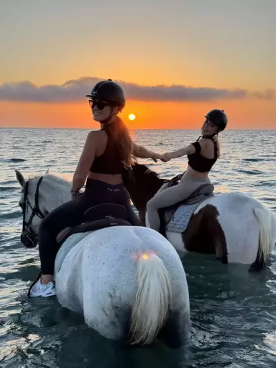 Erika's Horse Farm Houses - Marmari