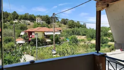 Lenia Studios - Kalamitsi