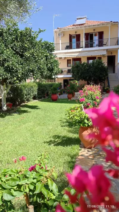 Zacharogianni Studios - Nikiana