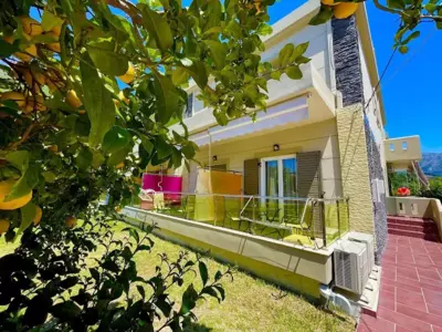 Octopus - Vassilliki