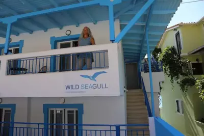 Wild Seagull - Vassilliki