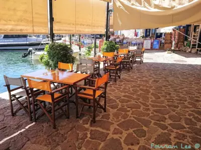 Sea Horse - Mythimna