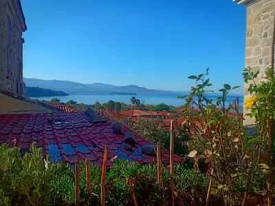 Lela's Kaptani Studio - Mythimna