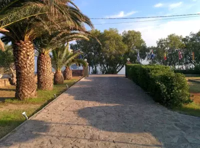 Lela Kaptani Eftalou Olive Grove - Mythimna