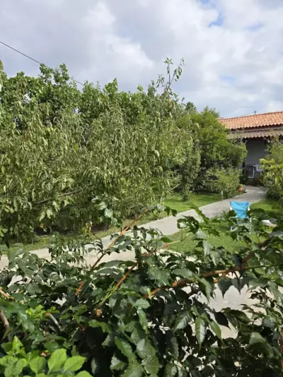 Mr. Greek Villa - Petra