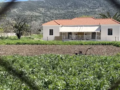 Ktimavita Apartment 2 - Petra