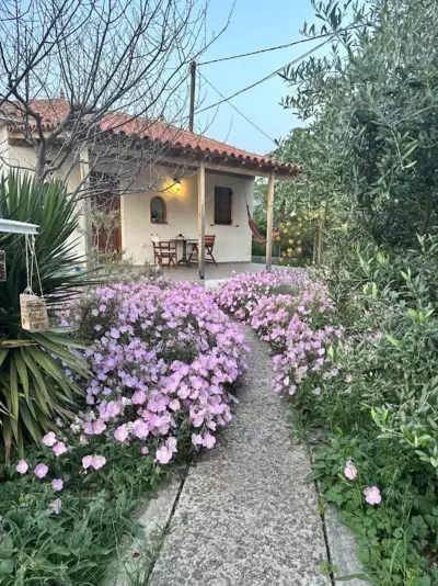 Hakuna Matata - Skala Eresou