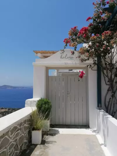 Halara Studios - Plaka