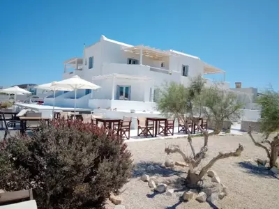 Tania Milos - Pollonia