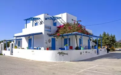 Ostria Vento - Pollonia