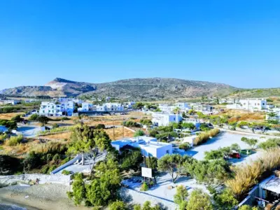 Captain Zeppos - Pollonia