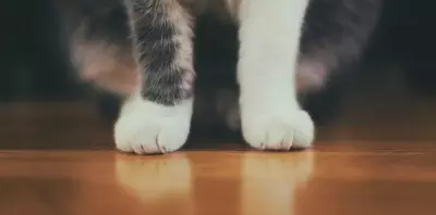 The Friend's House Milos - Triovasalos