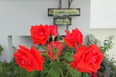 Kamakaris Rooms - Adamas