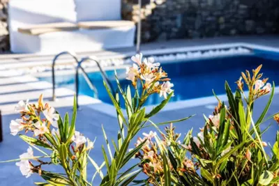 Luxury Villa Artemis by Mykonos Luxury - Elia Beach