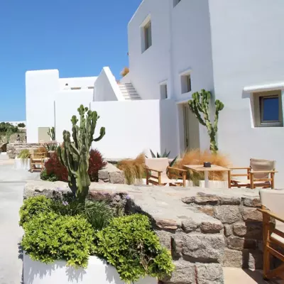 Mykonos Cactus - Ornos