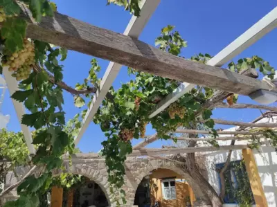 Miltiadis Apartments - Ambelas