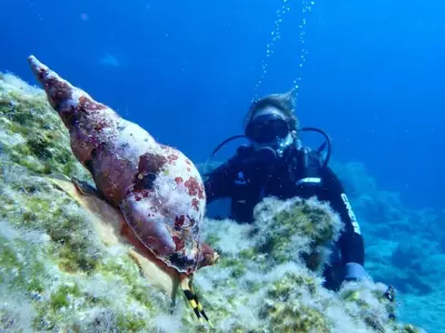 Divers Cycladic House Paros - Ambelas
