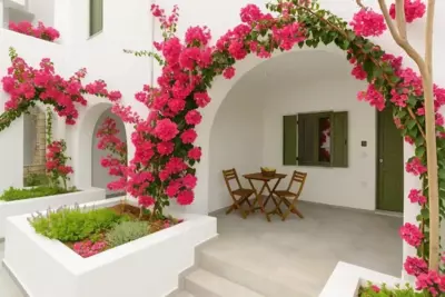 Nostalgia Ambelas Paros Seaside Apartments - Ambelas