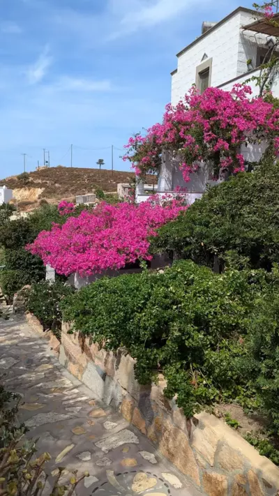 Patmos Studios - Skala