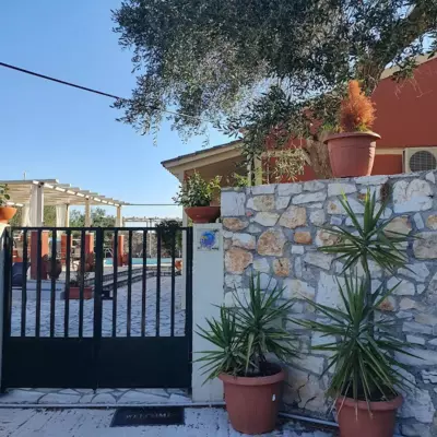 Paxos Bonzai Studios - Paxos