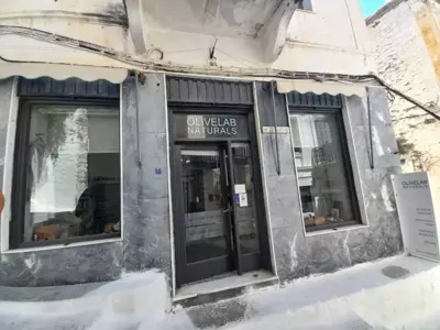 Olive branch2 - Galatas