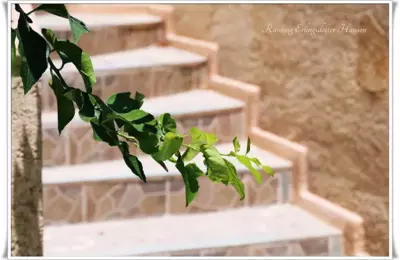 Sky-Line Apartments - Afando