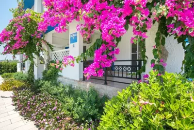 SCALA APARTS & STUDIOS - Rhodes - Afando