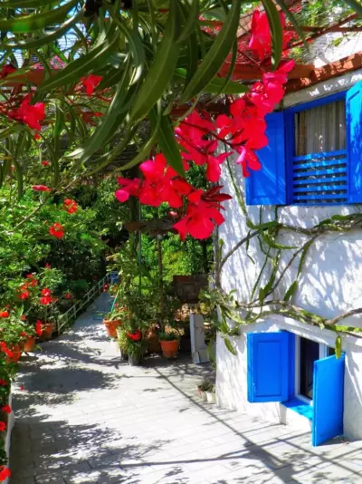 Alpha Stegna Sun - Archangelos Arcangelo