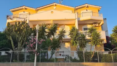 Paul's Garden Studios - Haraki