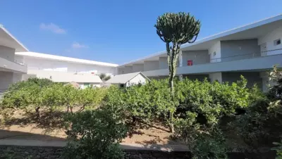 Kolymbia Sun - Kolimbia