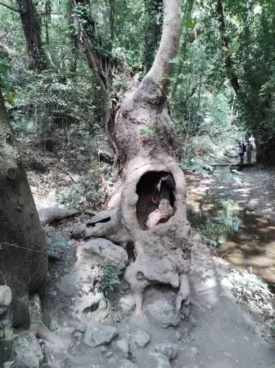 Potami Mountain - Karlovasi