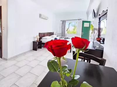 Studio Popi - Marathokampos