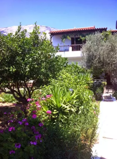 Tiki Rooms - Marathokampos