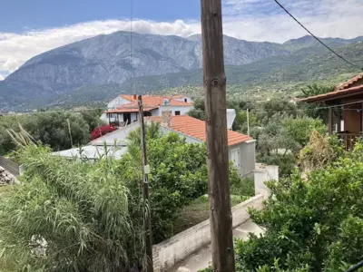 Albatross - Marathokampos