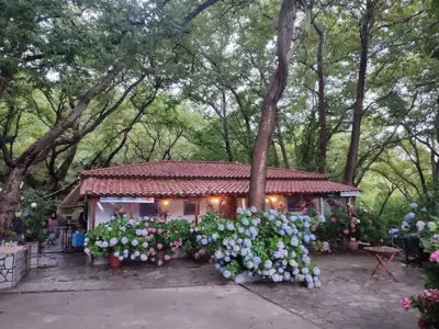 Parselia Rooms - Samotracia