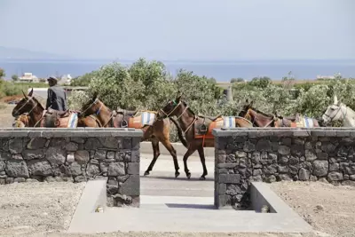 Vino Houses Santorini - Oia