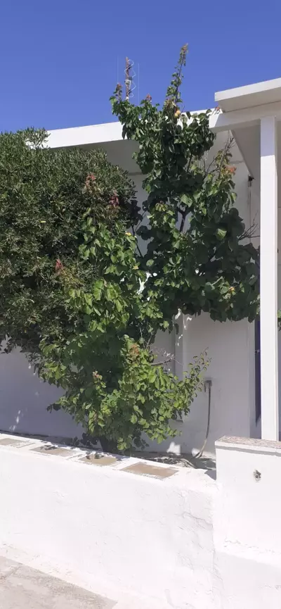 Solitude Studio - Serifos Chora - Serifos