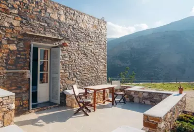 Oniropagida - Apollonia