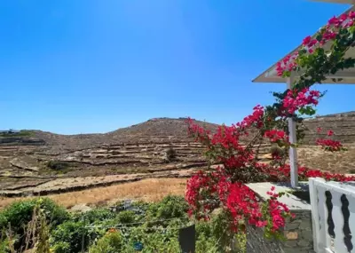 Lemon houses - Faros, Sifnos - Faros