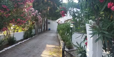 Villa Nikos Koukounaries - Koukounaries