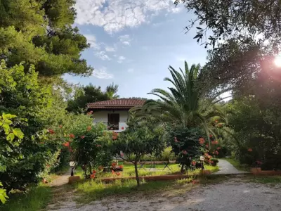 Katerina Studios - Koukounaries