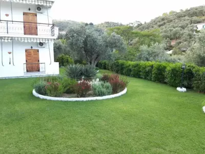 Olive Grove Studios - Megali Ammos