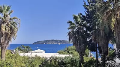 Pavlina's Achladies Apartments - Skiathos Città